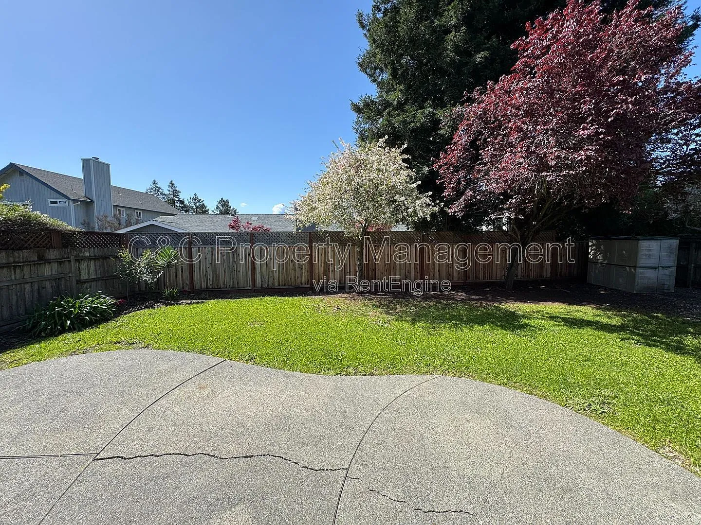 3 bed, 2.0 bath, 1409 sqft, $3,600 — Photo 3