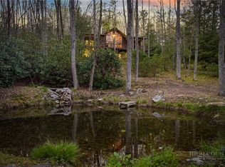 163 Bear Track Lane, Vilas, NC 28692