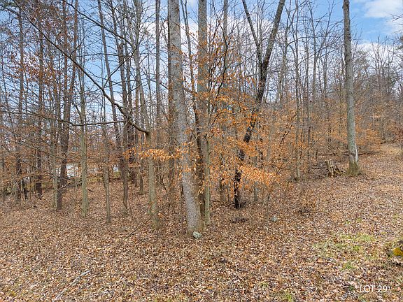 5th image of 29 Hunter Ln