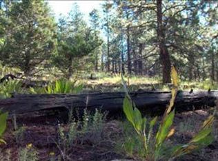 2393 Durango Cliffs Dr, Durango, CO 81301