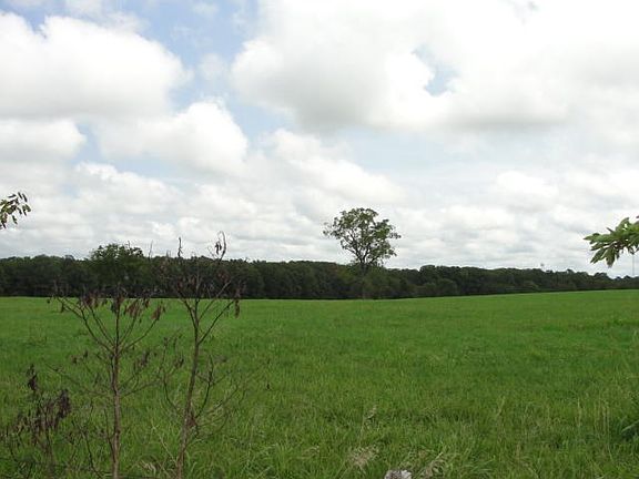 DSC00650