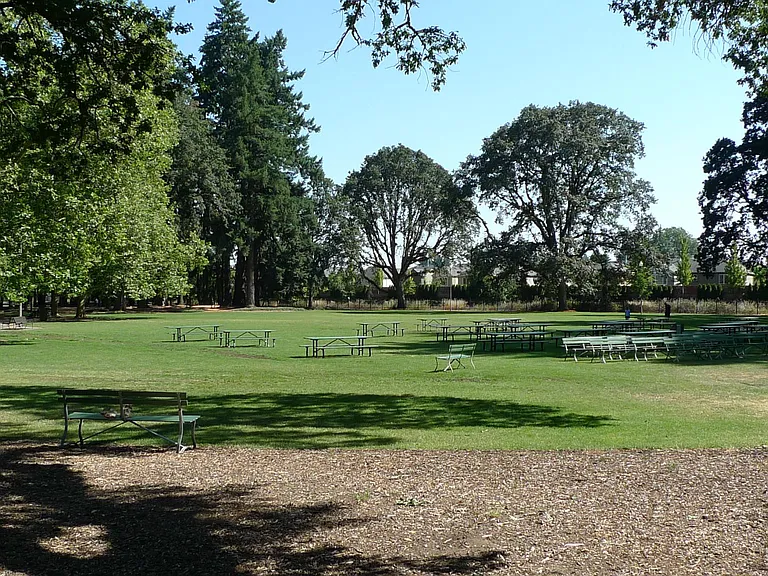 Next to Shute park