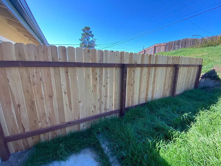 593 Venus Ave #C — Photo 10