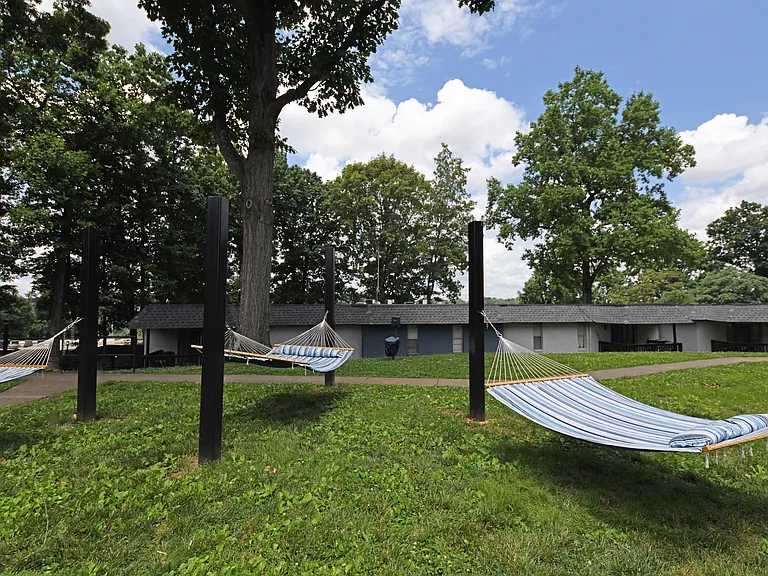 Hammock & Lounge Area