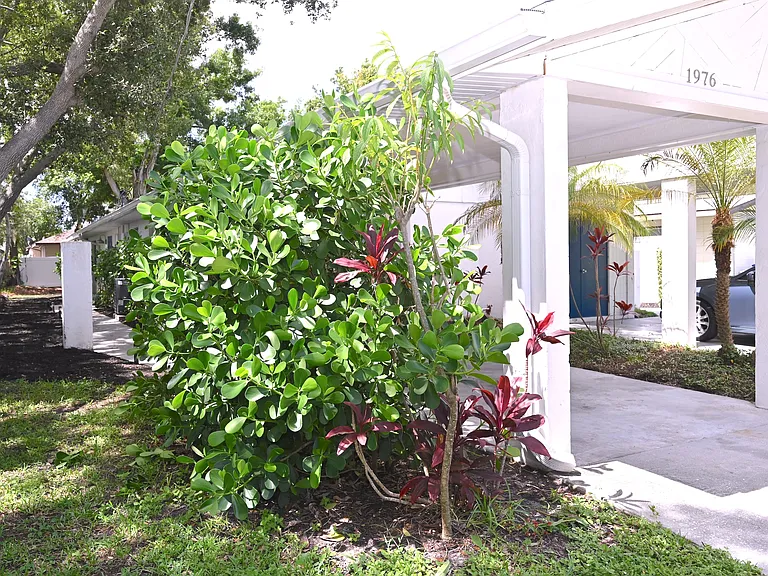 1976 Debbie St — Photo 19