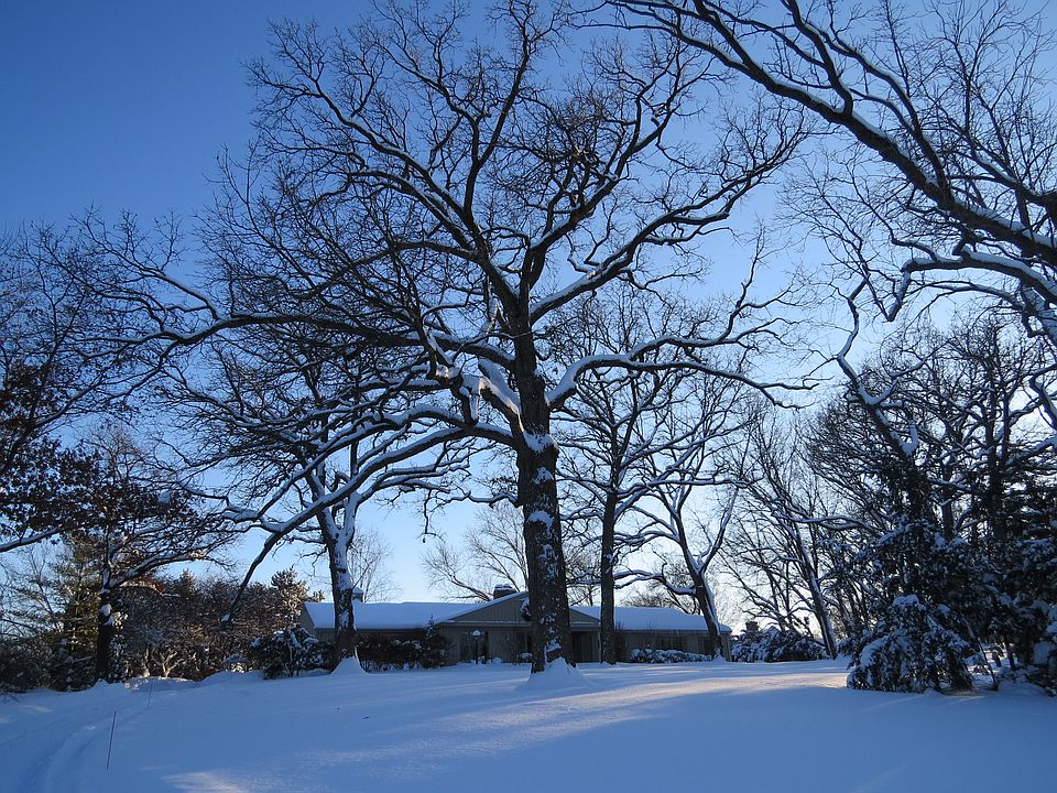 Front yard wintertime