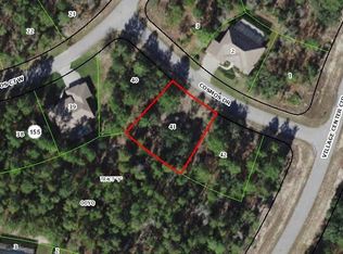 3 Cosmos Dr, Homosassa, FL 34446