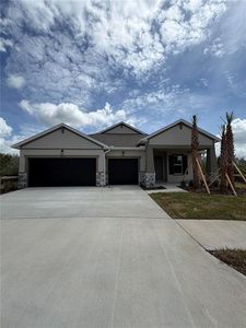 17608 Valleywood Pkwy, Land O Lakes, FL, 34638