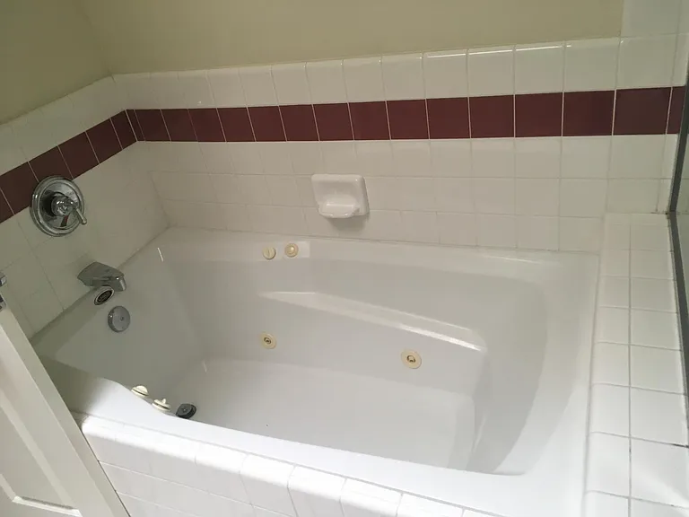 Master bathroom jacuzzi tub