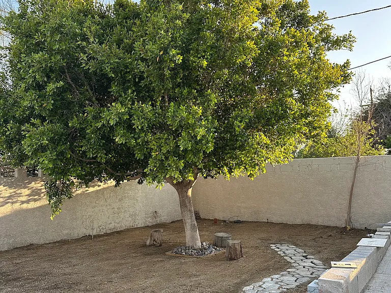 65911 Buena Vista Ave — Photo 25