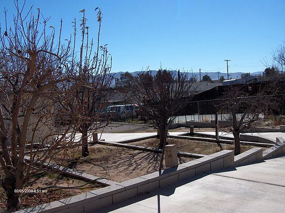 Backyard Fruit Trees