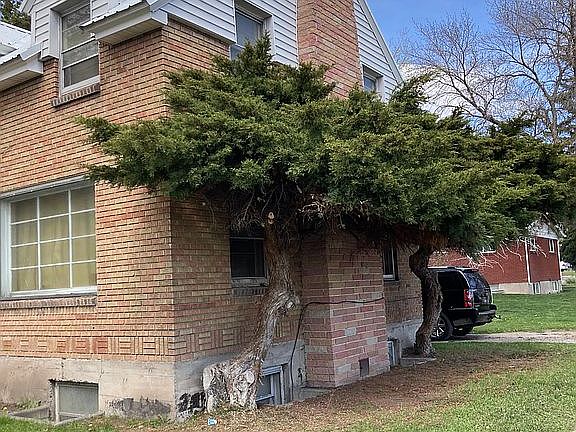 5th image of 579 Lomax St