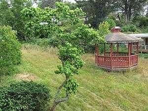 gazebo