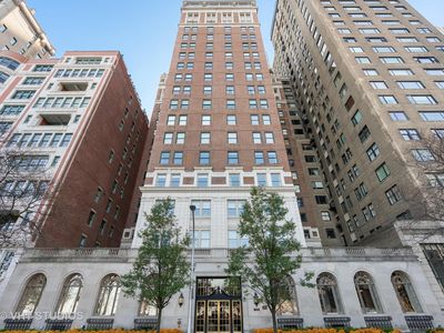 189 E Lake Shore Dr Ste 18, Chicago, IL, 60611