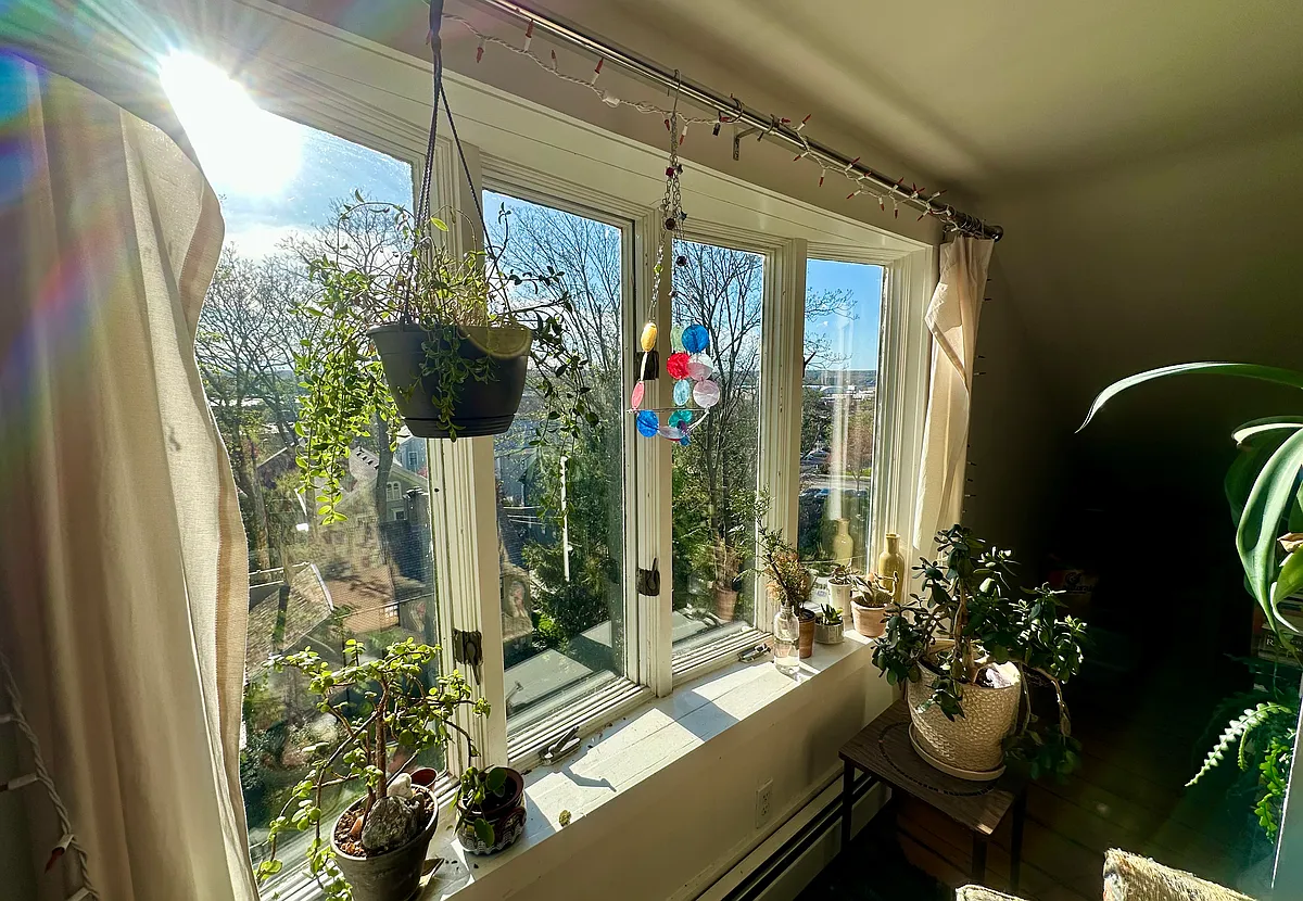 Building Photo - 13 Pratt St #3