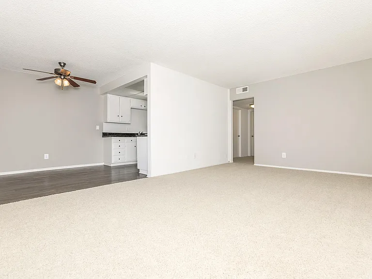 San Carlos and San Juan Apartment Homes — Photo 38