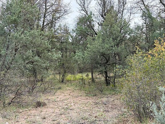 4th image of 117 N Rifle Barrel Road #41