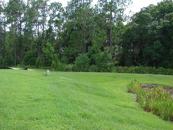 conservation view