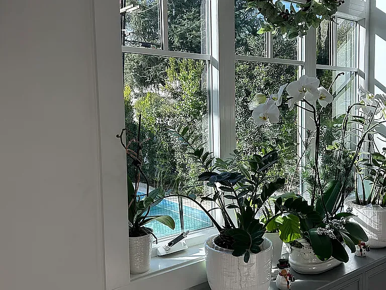 Kitchen window overlooks pool