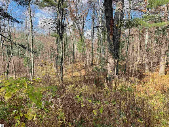 0 Silver Creek Rd, Prescott, MI 48756