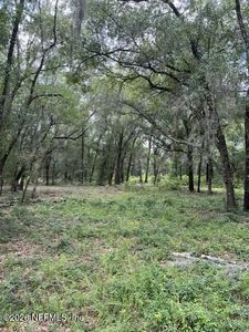 607 COUSINTOWN RD Road, Interlachen, FL, 32148