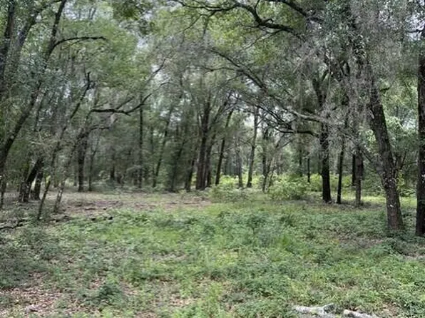 607 COUSINTOWN RD Road, Interlachen, FL 32148
