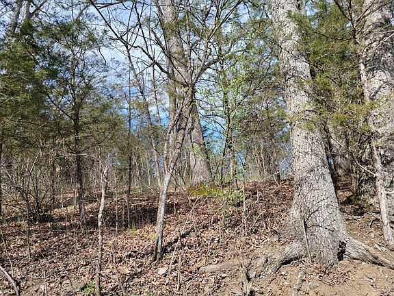 4th image of 0 Union Ridge Rd