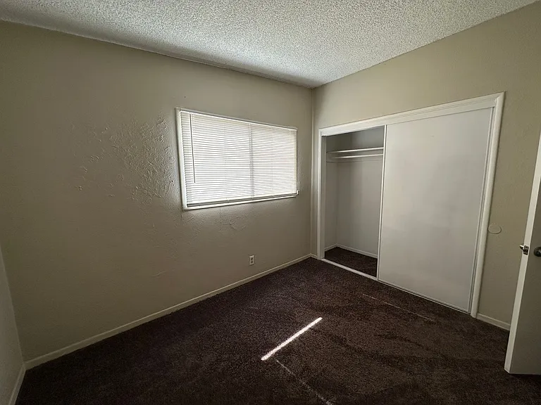 237 Palm Dr — Photo 11