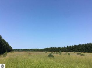 9 North Rd, Mesick, MI 49668