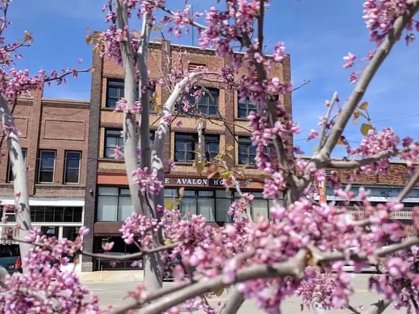 178 S Main St #923477665