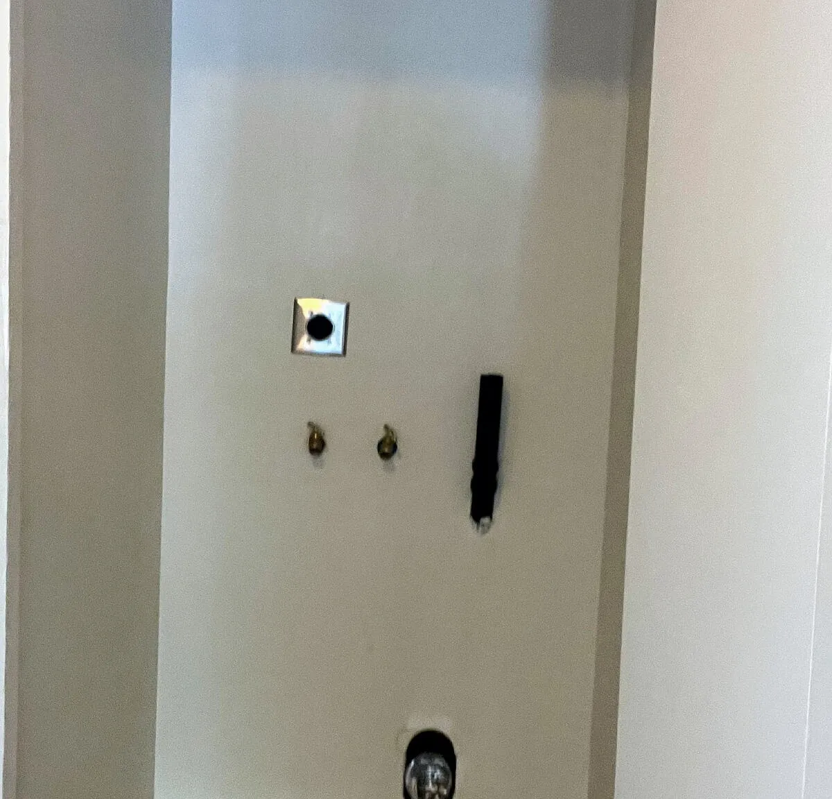 1 bed, 1.0 bath, 556 sqft, $1,250 — Photo 3