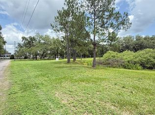 29956 New Dutch Ln #80, Wesley Chapel, FL 33545