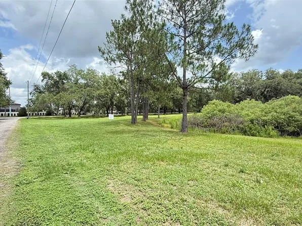 29956 New Dutch Ln #80, Wesley Chapel, FL 33545
