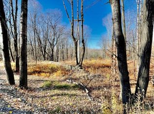 1 Ed Klug Rd, Walton, NY 13856