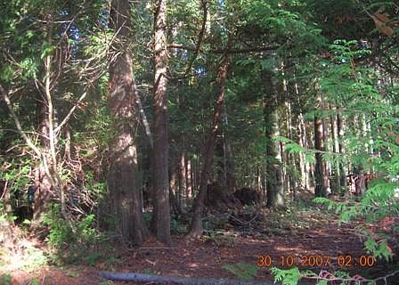 2nd image of Mill Rd