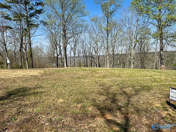 5th image of 302 McCorkle Mountain Rd