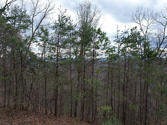 4th image of 116 Settlers View Ln Lot 116E