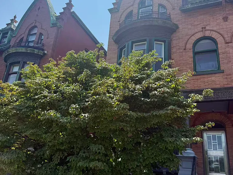 4224 Parkside Ave #3A — Photo 19