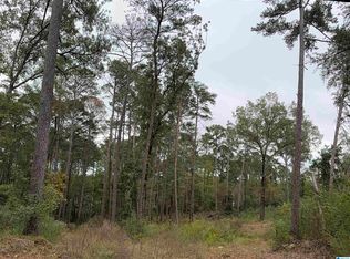 3085 Teresa Dr #302, Birmingham, AL 35217