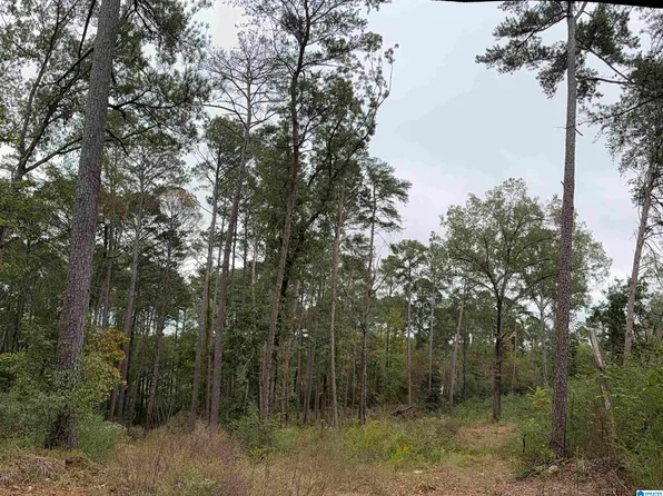 3085 Teresa Dr #302, Birmingham, AL 35217