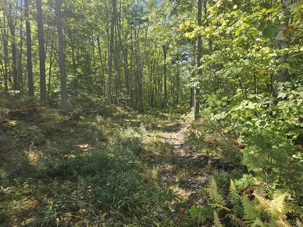 Lot 9F Pequawket Trail, Standish, ME 04084