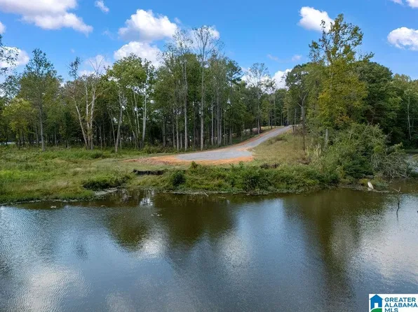 499 Mulberry Ave #19, Cordova, AL 35550