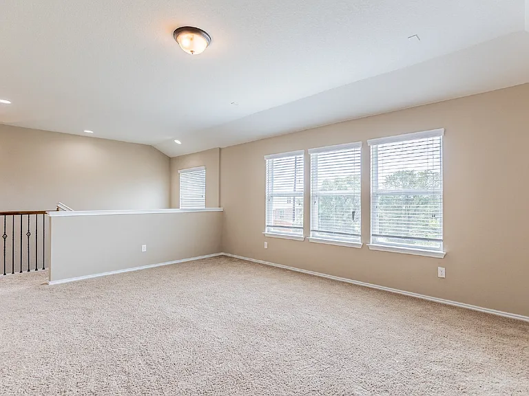 12939 Texas Gold — Photo 23