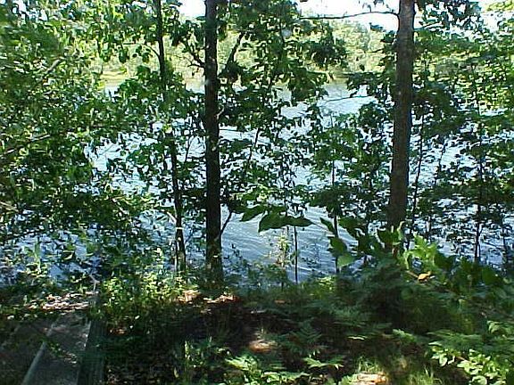 3rd image of 8605 N Island Dr