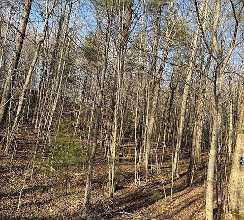 2nd image of Bear Hollow Rd