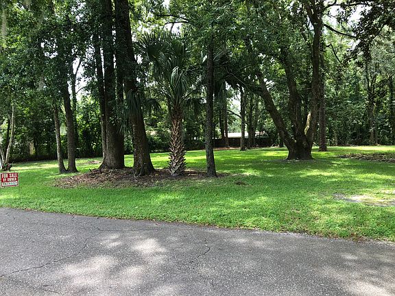 Beautiful trees!