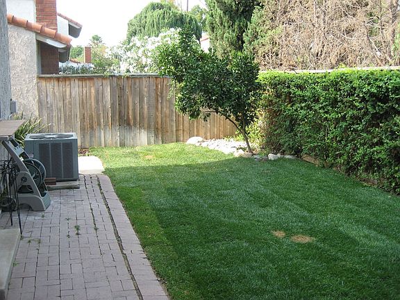 backyard with new lawn