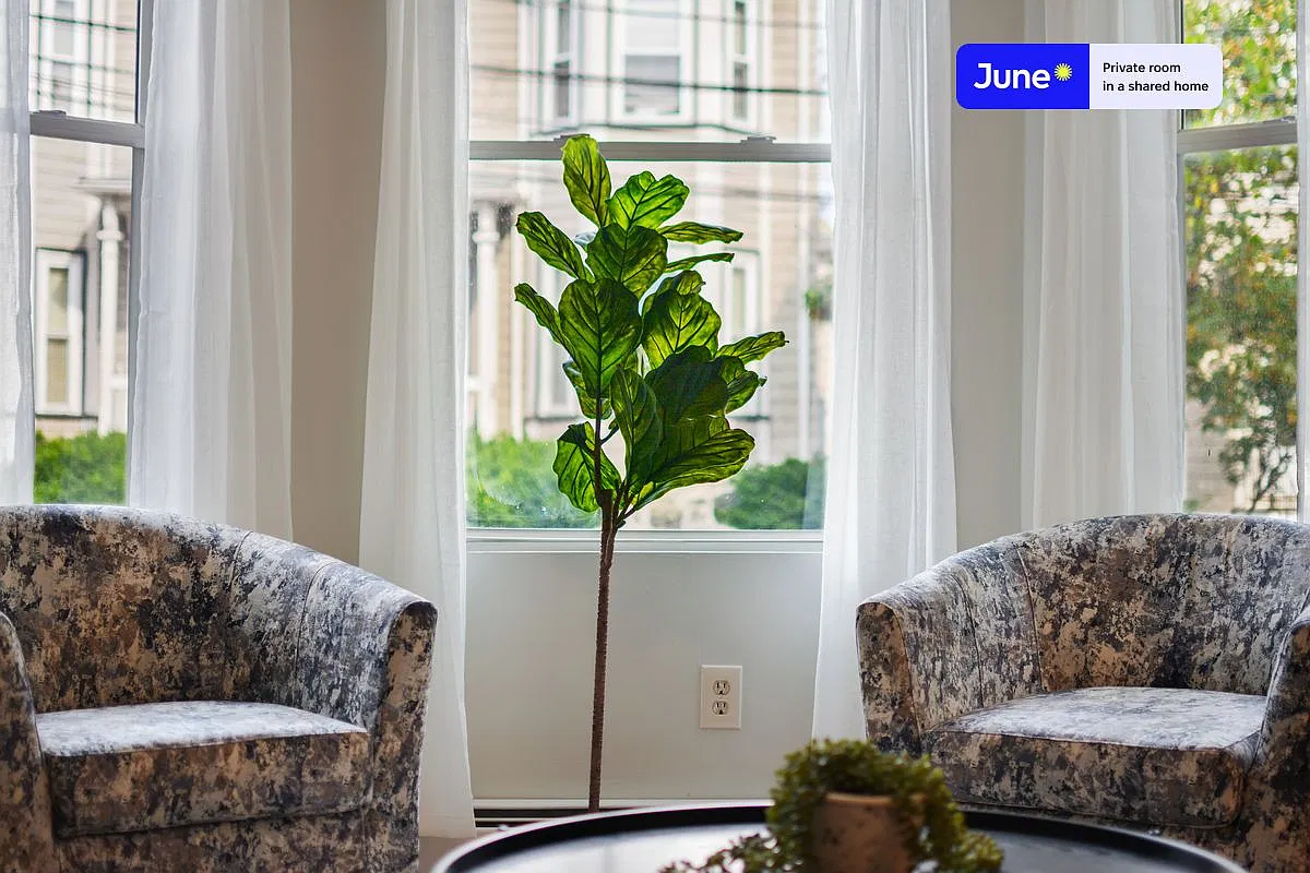 Queen bedroom in 4 bed/2 bath home in Allston #534 D — Photo 4