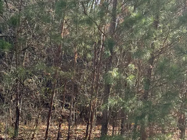 13905 Brown Bridge Rd, Covington, GA 30016