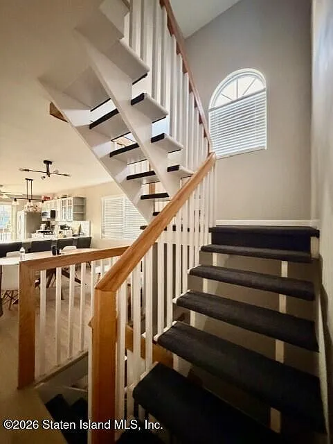 3 bed, 2.5 bath, 1100 sqft, $3,750 — Photo 3